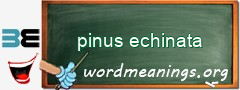 WordMeaning blackboard for pinus echinata